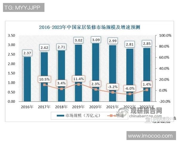 深圳羽毛球队的运营揭秘与发展深度分析探讨